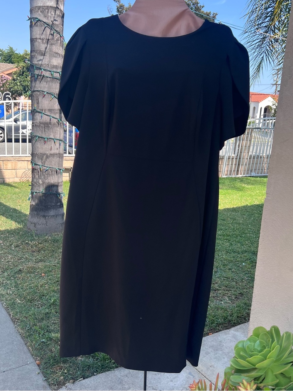 Calvin Klein Black Mini Shift Dress with Flutter Sleeves